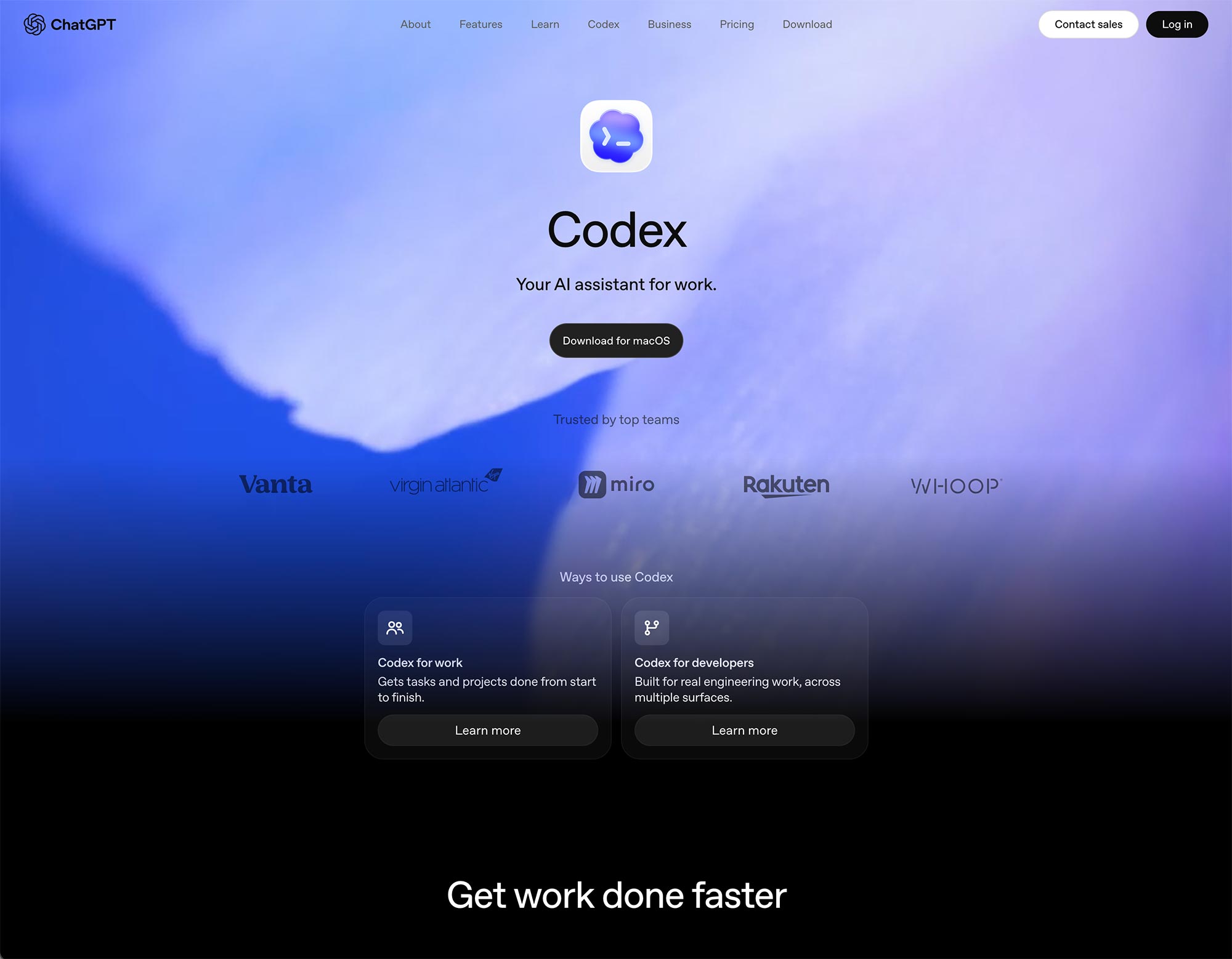 Codex CLI terminal agent interface